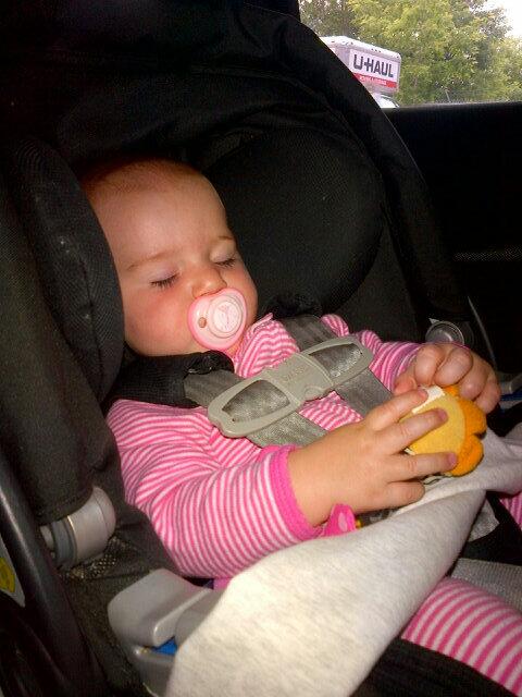 BCBJohnstone's tweet photo. Off to Van they go! Luckily will see my lil Sydie Pie in a few days &amp; @morgsjohnstone #ihategoodbyes love!! Xo http://t.co/34YubUIKze