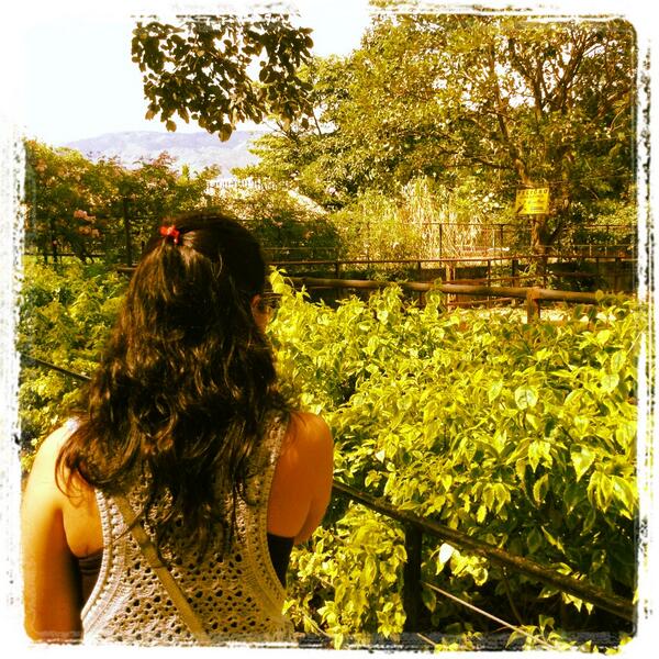 lufeesbe's tweet image. Buscando un pedazo de mi ... Entre la hermosa naturaleza, ya que entre humanos no lo logro!