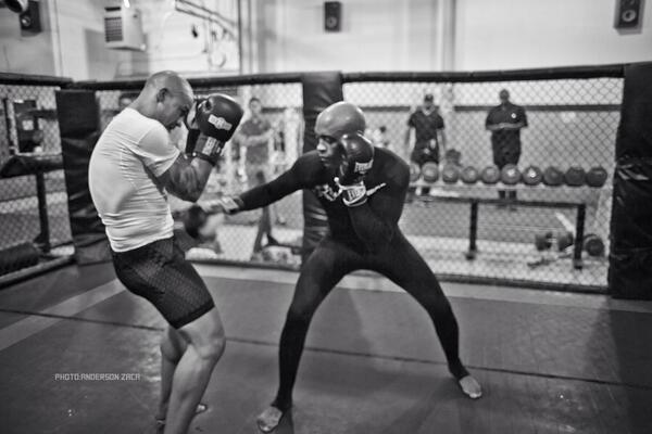SpiderAnderson's tweet image. 