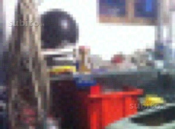 NivesZavan tweet picture