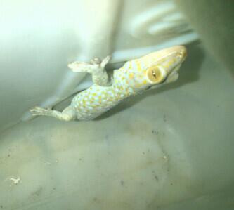 dindajesicca's tweet photo. http://t.co/hXEW8ij37X