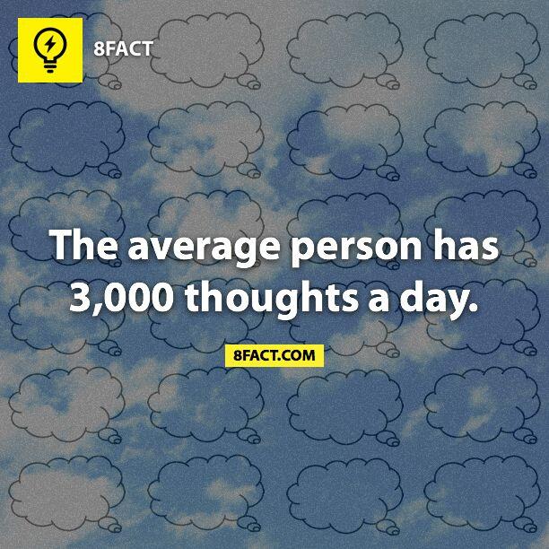 Alan Lee Photography (@alanleephoto) / Twitter