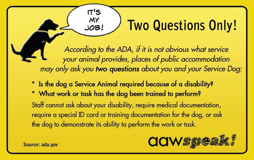 Do Service Dogs Need Papers