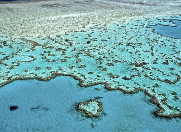 OWCM's tweet image. Too hot...