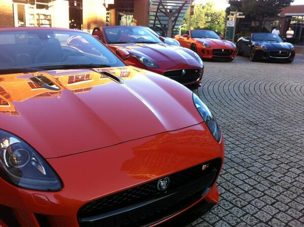 Look at all the stray cats in Seattle. #jalopnik #jaguar #ftype