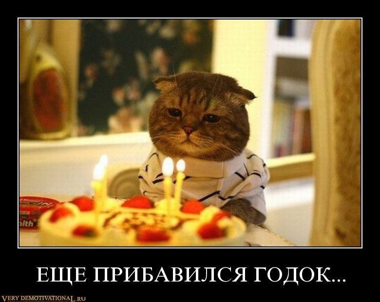 Поздравил меня картинки прикольные