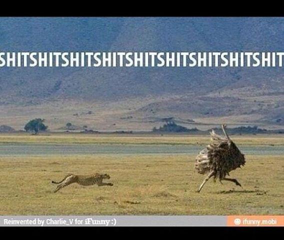 BEAST Performance tweet media