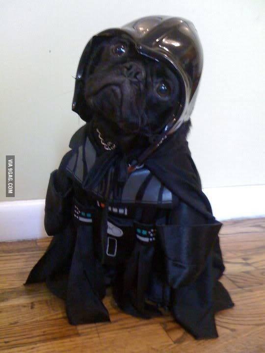 Daniel Raulerson (@DKRaulerson) | Twitter