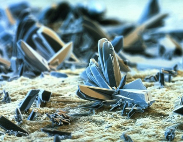 Micro_Photos tweet picture
