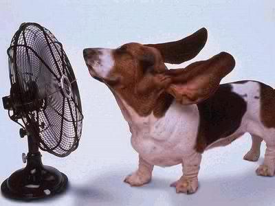 melanioparedes's tweet photo. Que calor http://t.co/ZZCaxtek7W