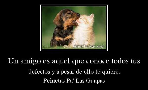 peinetasplguaps's tweet photo. Amistad es: http://t.co/GH5kjhYK6K