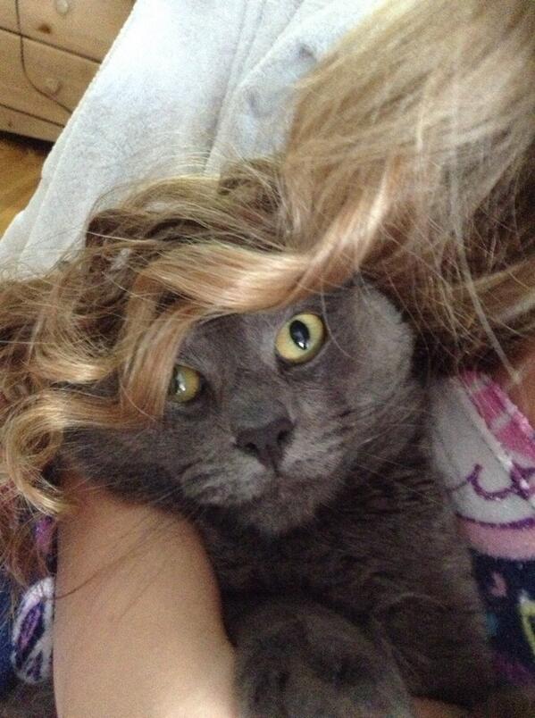 catnipaddict07's tweet image. new weave, yeah i get the bitches 😼