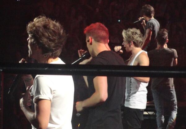 Bezpośredni odnośnik do obrazka