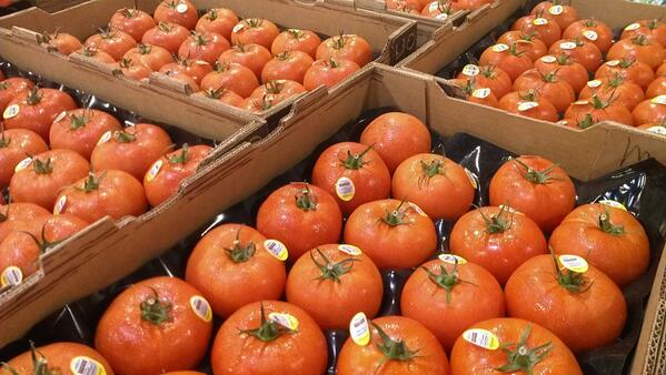 FeedingAmerica's tweet image. Love tomatoes! Great #hungersolution! MT @ntfb: Look at these gorgeous tomatoes our volunteers are sorting today!