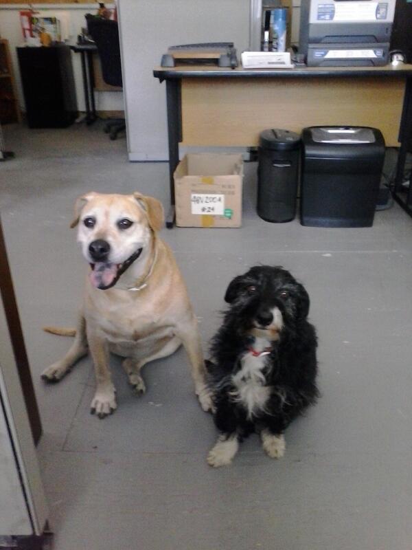 Meet the 2 girls that actually run Alltrax! Indy is on the left and Sally is on the right!