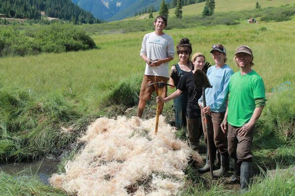 MountainStudiesInst. tweet media