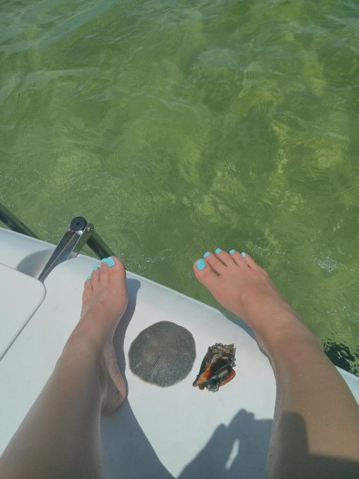 I did catch some things with my toes though lol http://t.co/pbHktx5Jo3<a href="/tag/amandapeet"class="tags"><span>#amandapeet</span></a>