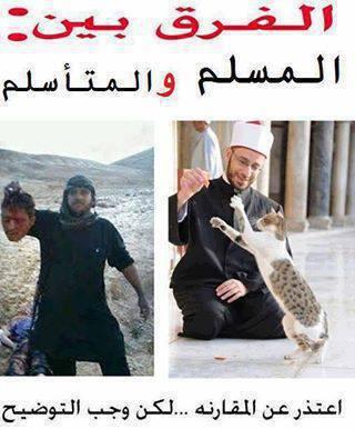 Hesham zoheir tweet media