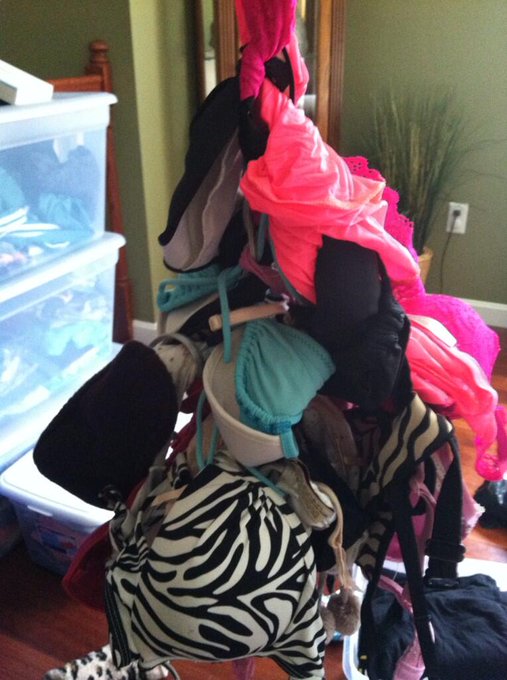This is what happens when you have me do your laundry. #GirlProblems http://t.co/fuoRefvPw1<a href="/tag/girlproblems"class="tags"><span>#girlproblems</span></a>
