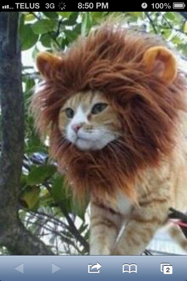 zebrabangerlu's tweet photo. http://t.co/BUyQhP0aoC