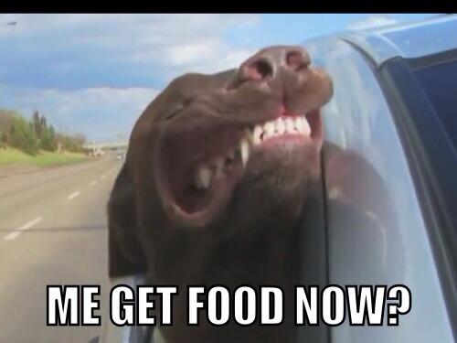 Chess_Checkers's tweet image. 