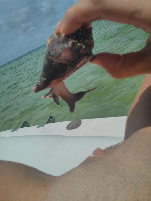 Can u believe this muscle creature was trying 2 find a home in my pussy?it thought it was a new "clam"<a href="/tag/destiny"class="tags"><span>#destiny</span></a><a href="/tag/ps4"class="tags"><span>#ps4</span></a><a href="/tag/crucible"class="tags"><span>#crucible</span></a><a href="/tag/ironbanner"class="tags"><span>#ironbanner</span></a><a href="/tag/pvp"class="tags"><span>#pvp</span></a>