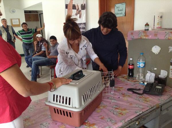 AytoTexcoco's tweet photo. Hoy la PROFRA. DELFINA GOMEZ ALVAREZ acudió al centro Canino entrego de 100 mts de manguera y 5 jaulas para gatos http://t.co/hJMZ8xmrxP