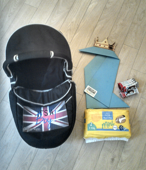 rosbeefparis's tweet photo. On nous a livré notre #royalbaby pingouin ! Il fait 3,7 kg et se porte très bien. C'est drôle et c'est signé @TLMALP http://t.co/hTnEKexMFY