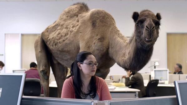 TJLang70's tweet photo. GUESS WHAT DAY IT IS!! http://t.co/VEAisPwaSs