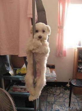 warattenanbot's tweet photo. 「いない？もうゴキブリいない？」 http://t.co/pfuleknK2x