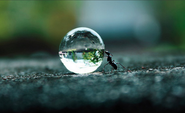 Micro_Photos tweet picture