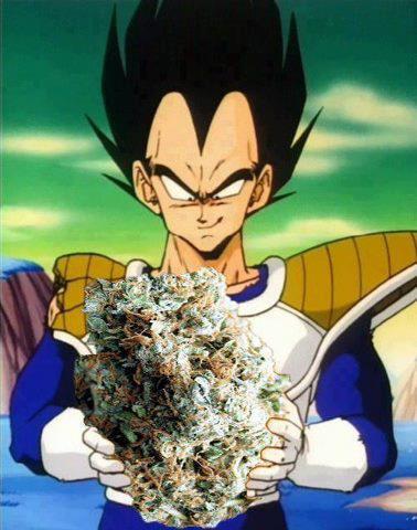 Shadowraplive's tweet image. @Method_jeff vegeta is going to get high