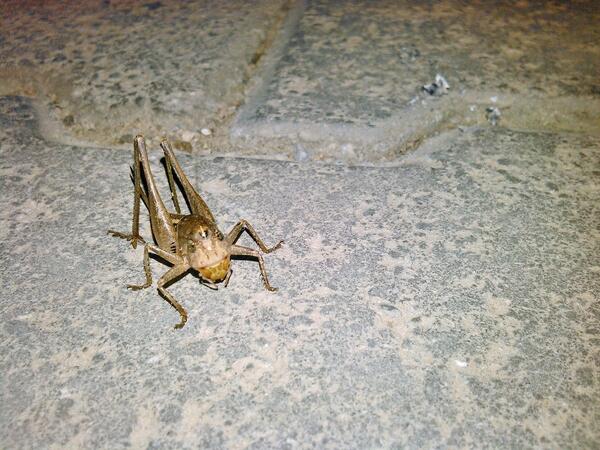 Lbakirr's tweet photo. Kapot grooot!! http://t.co/2w8wrA8pBe