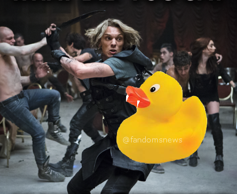 BooktoScreen1's tweet photo. Love it LOL RT @tmibritain: Jace sure likes fighting those ducks http://t.co/Il8m7Jxne9