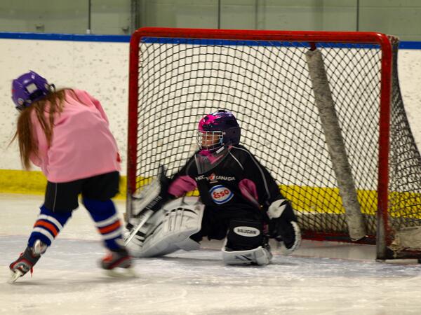 fisher_john's tweet photo. @jorjagoalie here is the future of women's hockey  http://t.co/xM5Us4VhiA http://t.co/q10jTZspY3