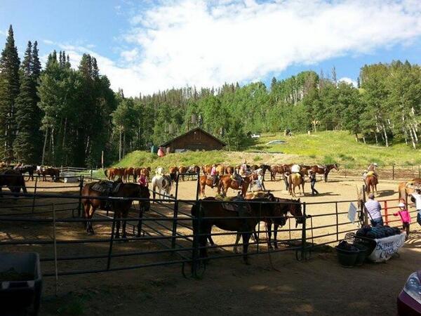 bcStables's tweet photo. Amazing #mornings at #BeaverCreek #Stables! Nothing better than #sunshine, #mountains, and #Horses http://t.co/2oJ4v331fk