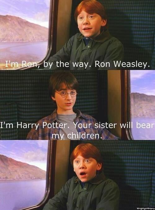 harry potter memes (@fun_harrypotter) / X