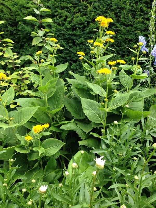 OuterspaceGc's tweet image. 