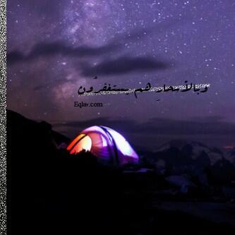 wadq_5 tweet picture