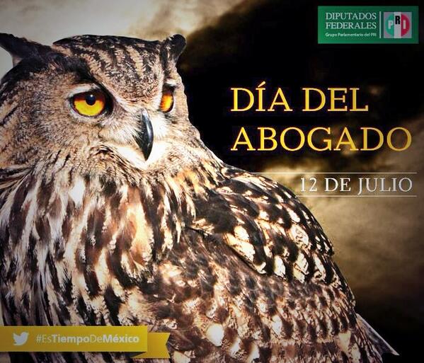 YoSoyJuventudPopular tweet media