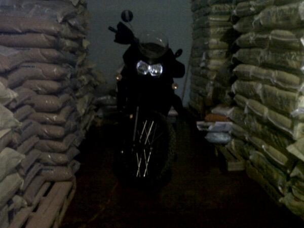 JOSEAPERZ's tweet photo. La nueva belleza del pana carlos http://t.co/AfIEKGK3mH