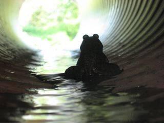 今日は引きこもる