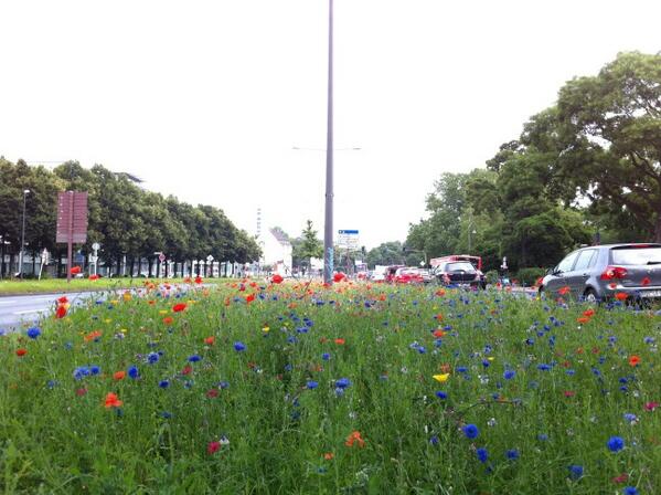 schoen bunt im grauen koeln