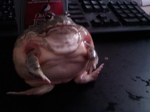 太り過ぎwワロタwww