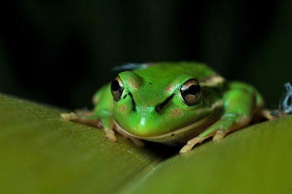 ﾎﾟｯ(*´ω｀*)