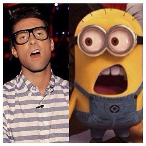 TalkingMinions's tweet photo. This is the best MINIONS can do to be like ADAM LEVINE! Baaaahhhh! Papoy! http://t.co/kXmIvFNKzC