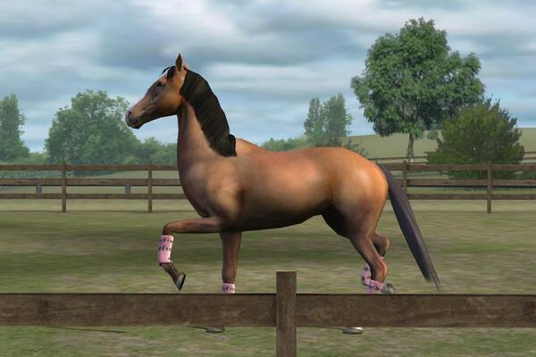 dudareisb's tweet photo. Confira a minha foto! Adicione-me, Savanahh. #MyHorse http://t.co/WSYbliVkkJ http://t.co/1nIxJFILXI