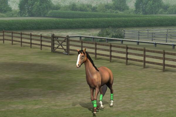 dudareisb's tweet photo. Confira a minha foto! Adicione-me, Savanahh. #MyHorse http://t.co/WSYbliVkkJ http://t.co/bIhvOPTAyy