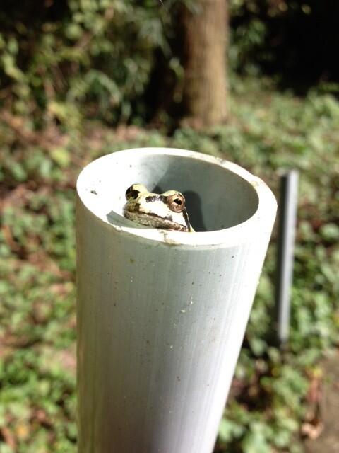 完全にバテたぁ・・・