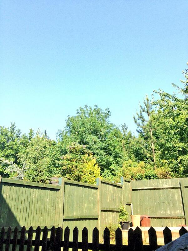 SmartFindCH's tweet image. Looks like we shall be enjoying our day off in the garden! #LoveDay